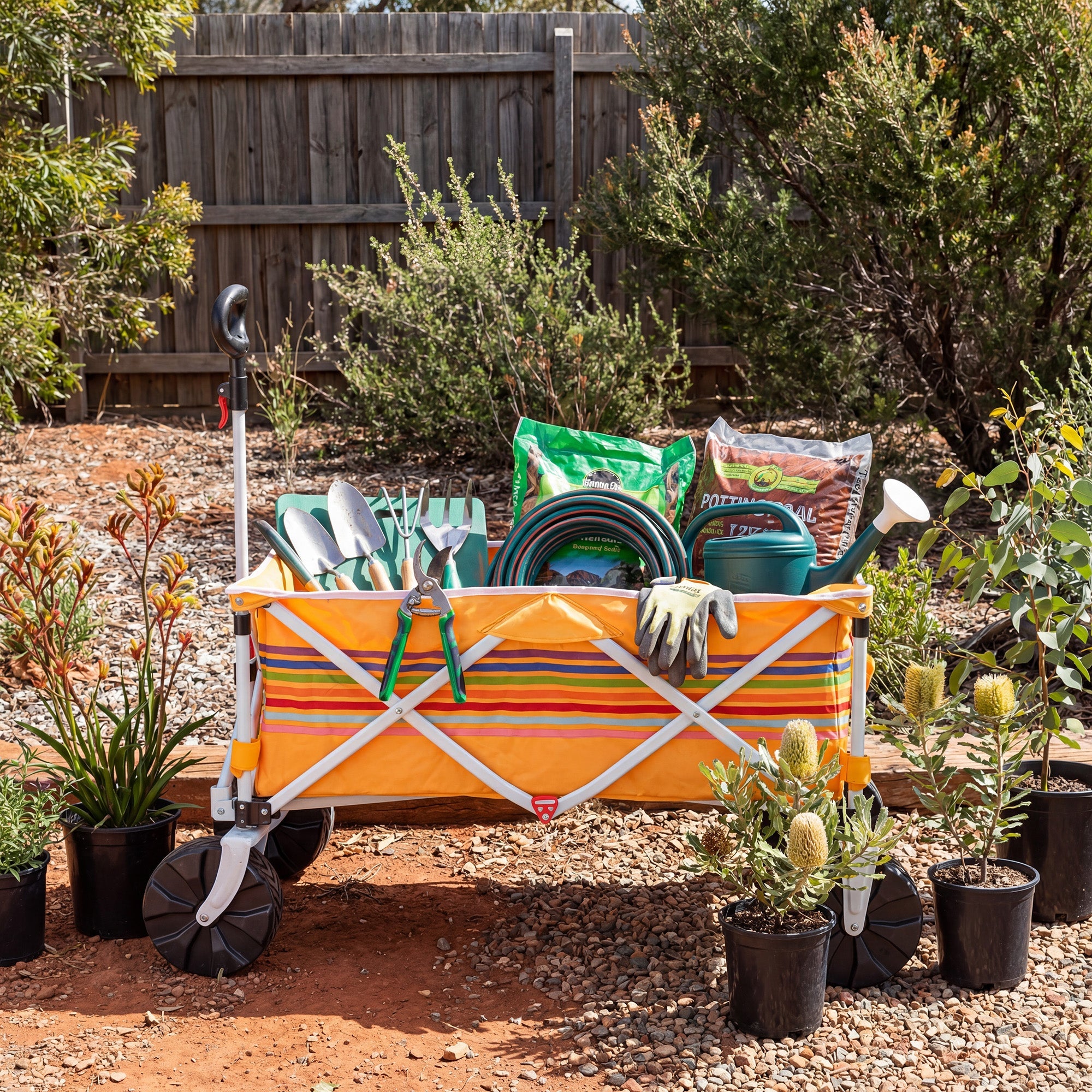 Beach Cart/Wagon