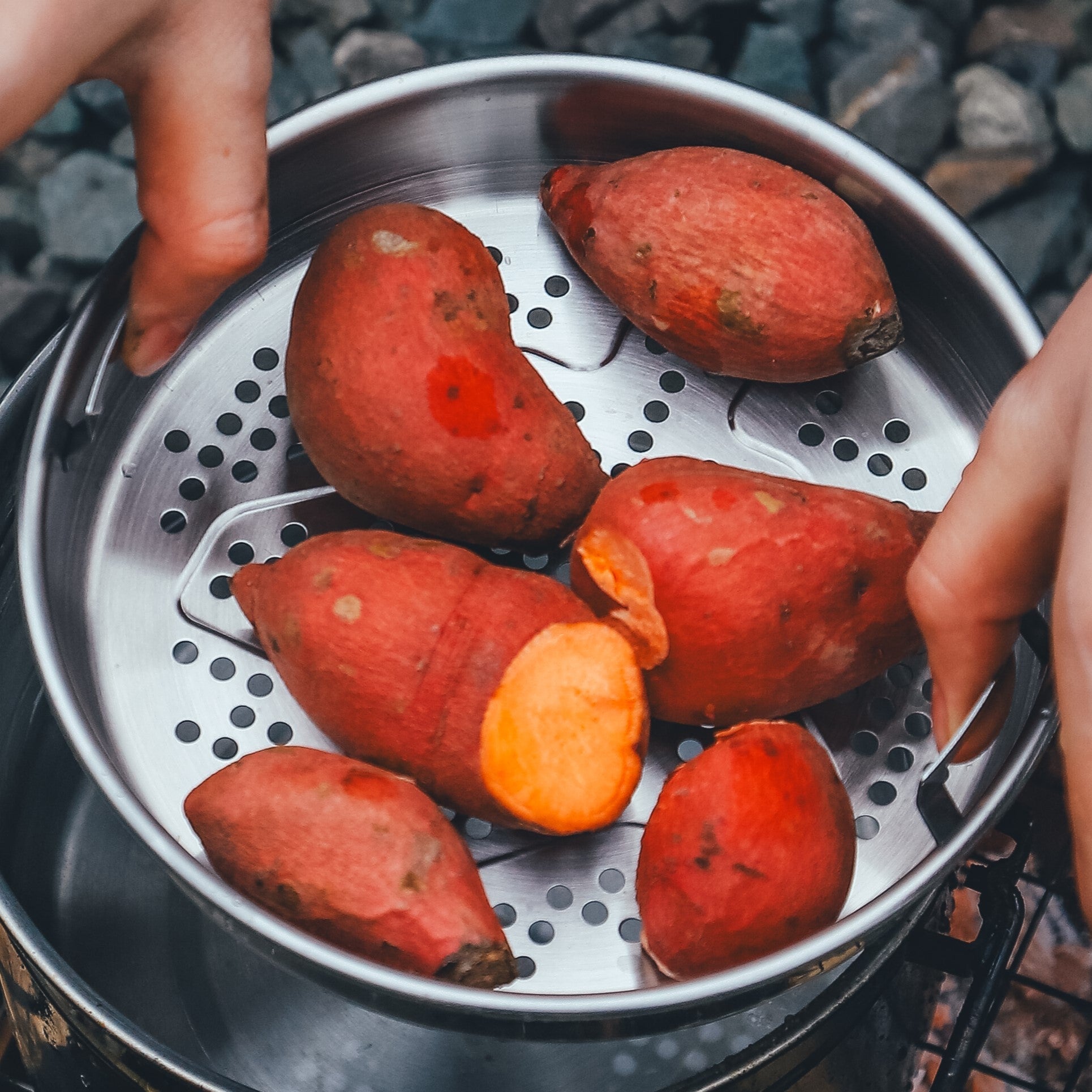 Antarcti Stainless Steel Billy Pot | 1.8L