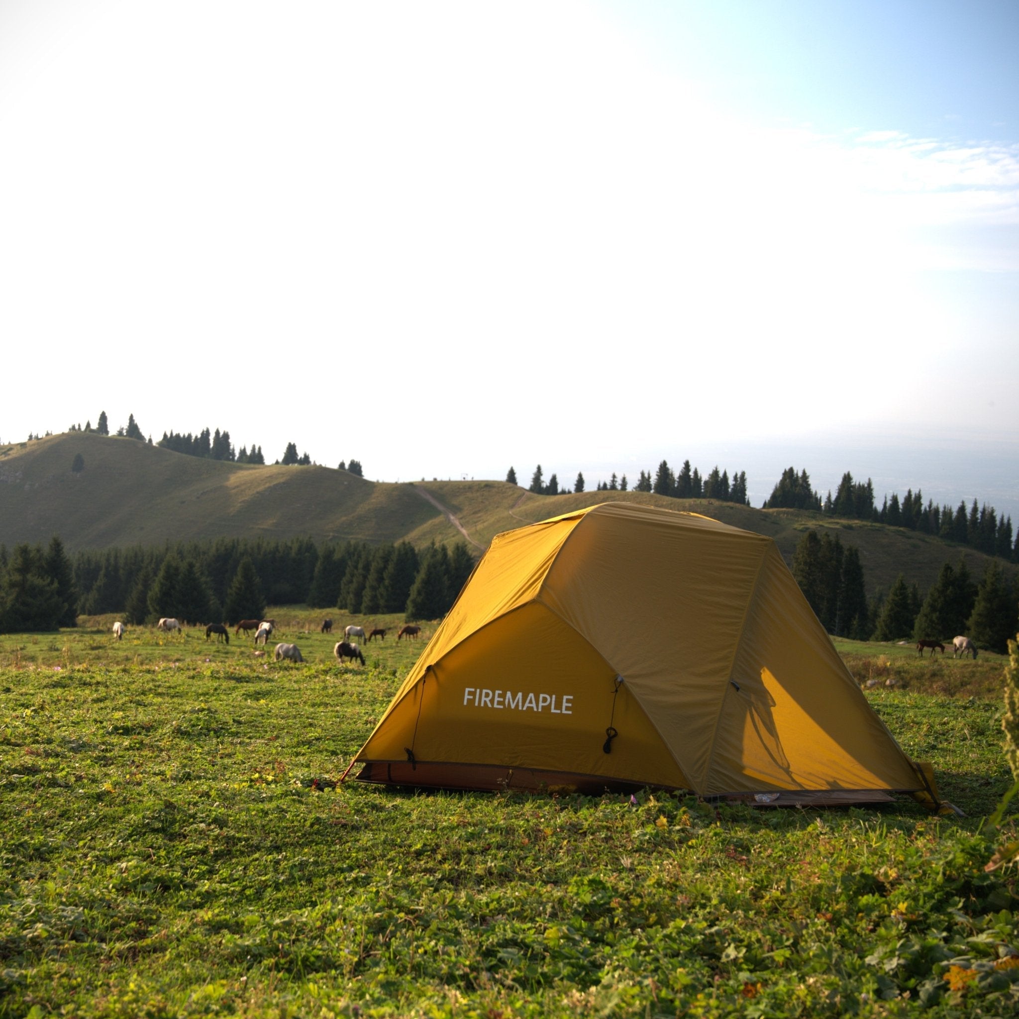 Tropics 2-Person Backpacking Tent